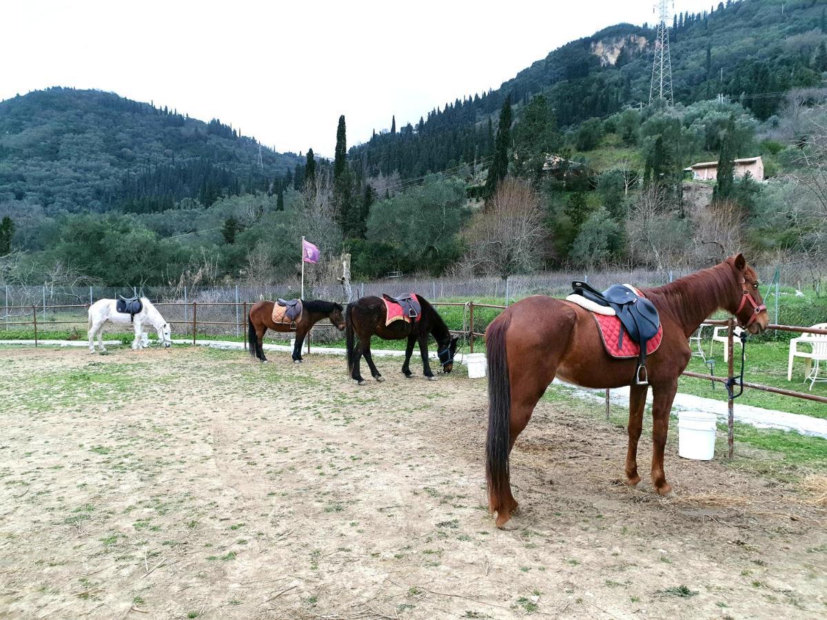 St.Nicholas Ranch Corfu Benitses  Bagian luar foto